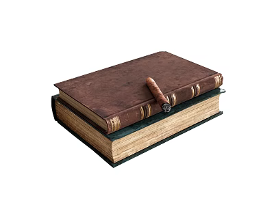 Classic Vintage Leather Bound Books Stacked With Cigar On Brown Cover 3d model