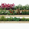 Wooden Flower Planters With Various Colorful Flowers And Lush Green Leaves