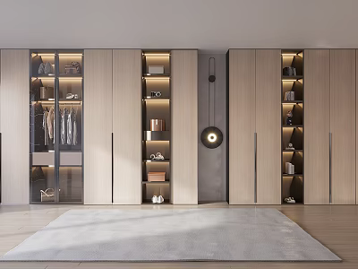 Modern Wardrobe Interior Design With Glass Doors Open Shelves Built-in Lighting Clothes And Decor Items 3d model