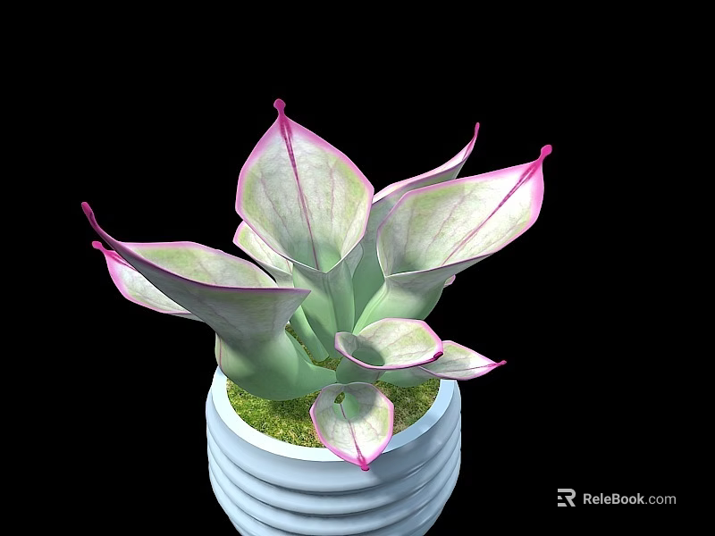 Elegant Bonsai Potted Plant With Pink And White Variegated Leaves In White Striped Pot 3d model 