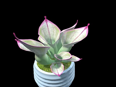Elegant Bonsai Potted Plant With Pink And White Variegated Leaves In White Striped Pot 3d model