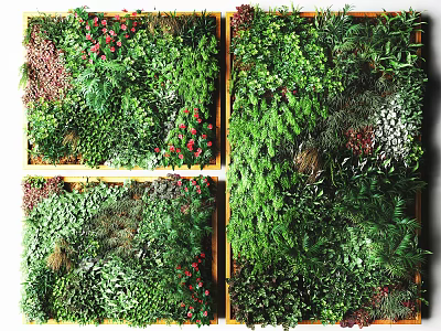 Lush Indoor Living Green Wall With Various Plants And Natural Foliage 3d model