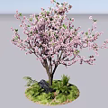 Ornamental Tree with Pink Blossoms Green Grass Small Plants and Stone Base