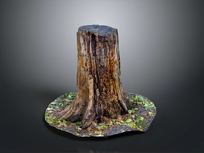 Natural Wooden Tree Stump With Green Moss And Fallen Leaves Base 3d model