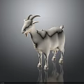 Realistic White Goat 3D Model Standing on Dark Background with Reflection 3d model