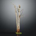 Tall Dead Tree With White Trunk And Green Moss At Bottom On Dark Background