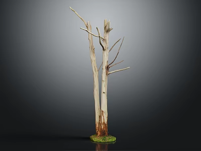 Tall Dead Tree With White Trunk And Green Moss At Bottom On Dark Background 3d model