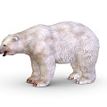 Modern polar bear cartoon polar bear 3d model