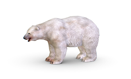 Modern polar bear cartoon polar bear 3d model