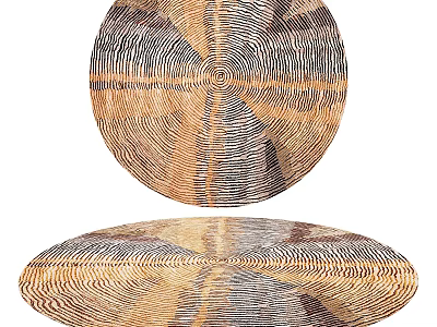 Round Rug With Natural Wood Like Texture And Neutral Brown Gray Tones 3d model