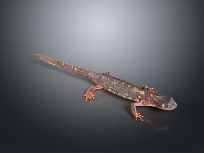 Reptile Salamander with Long Tail and Orange Red Patterns on Dark Background 3d model