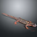 Reptile Salamander with Long Tail and Orange Red Patterns on Dark Background 3d model