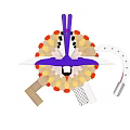 Bird Shaped Playground Equipment With Purple Wings Colorful Feather Design Stairs And Slide For Kids