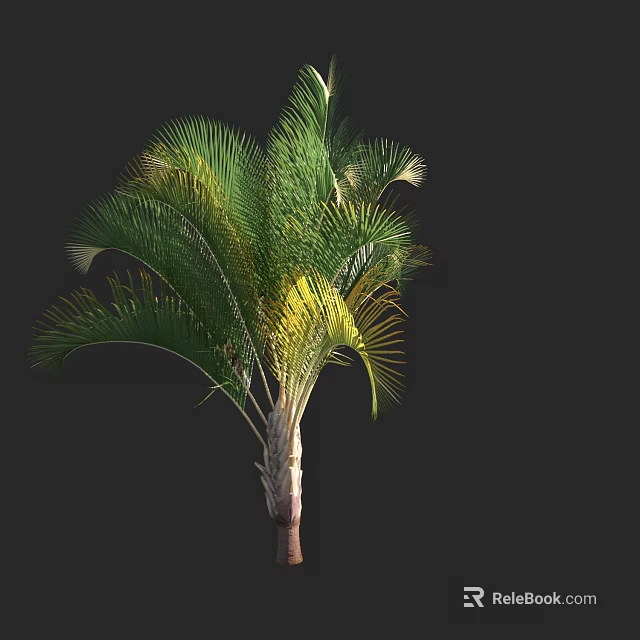 Tall Palm Tree With Green Fronds And Yellow Accents On Brown Trunk 3d model 