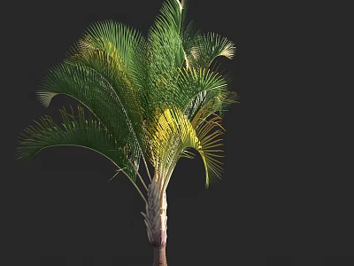 Tall Palm Tree With Green Fronds And Yellow Accents On Brown Trunk 3d model