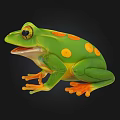 Green Aquatic Frog With Orange Spots Orange Feet And Open Mouth On Black Background