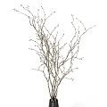 Black Cone Shaped Vases With Slender Branches And Small Buds For Decor