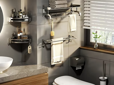 Sleek Modern Bathroom Accessories With Wall Shelves Towel Racks And Toilet Paper Holder 3d model