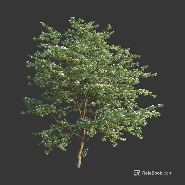 Lush Green Arbor With Dense Foliage And Strong Brown Trunk 3d model