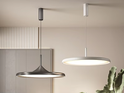 Modern Black And White Pendant Lights With Minimalist Design For Interior Spaces 3d model