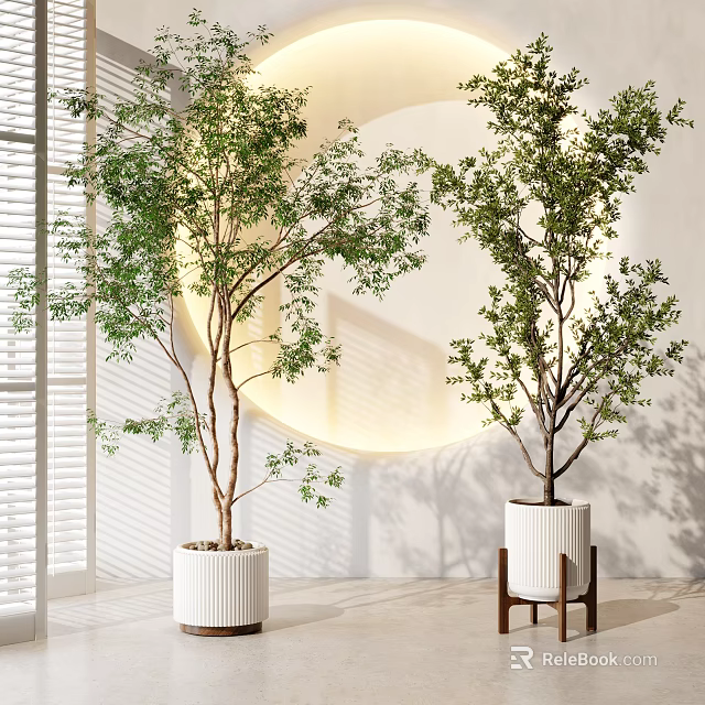 Indoor Potted Trees in White Planters Modern Interior with Round Mirror and Window Blinds 3d model 
