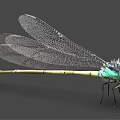 modern dragonfly 3d model
