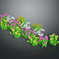 Colorful Garden Flowers with Pink Yellow White Blooms in Wavy Arrangement on Dark Background