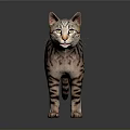 Realistic Spotted Cat Standing Against Gray Background With Reflective Surface
