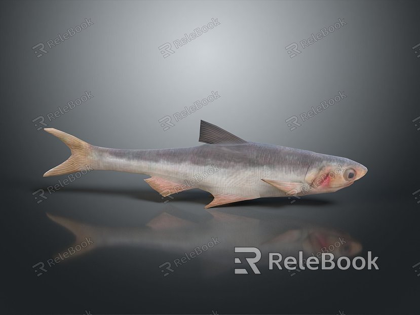 Fish Freshwater Fish Sea Fish Animal Game Animal Cartoon Animal Realistic Animal model