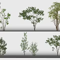 landscape trees small trees landscape trees courtyard plants 3d model