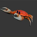 Red Crab With White Claws And Blue Eyes On Reflective Surface