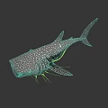 Giant Whale Shark With White Body And Pink Spots In Marine Environment