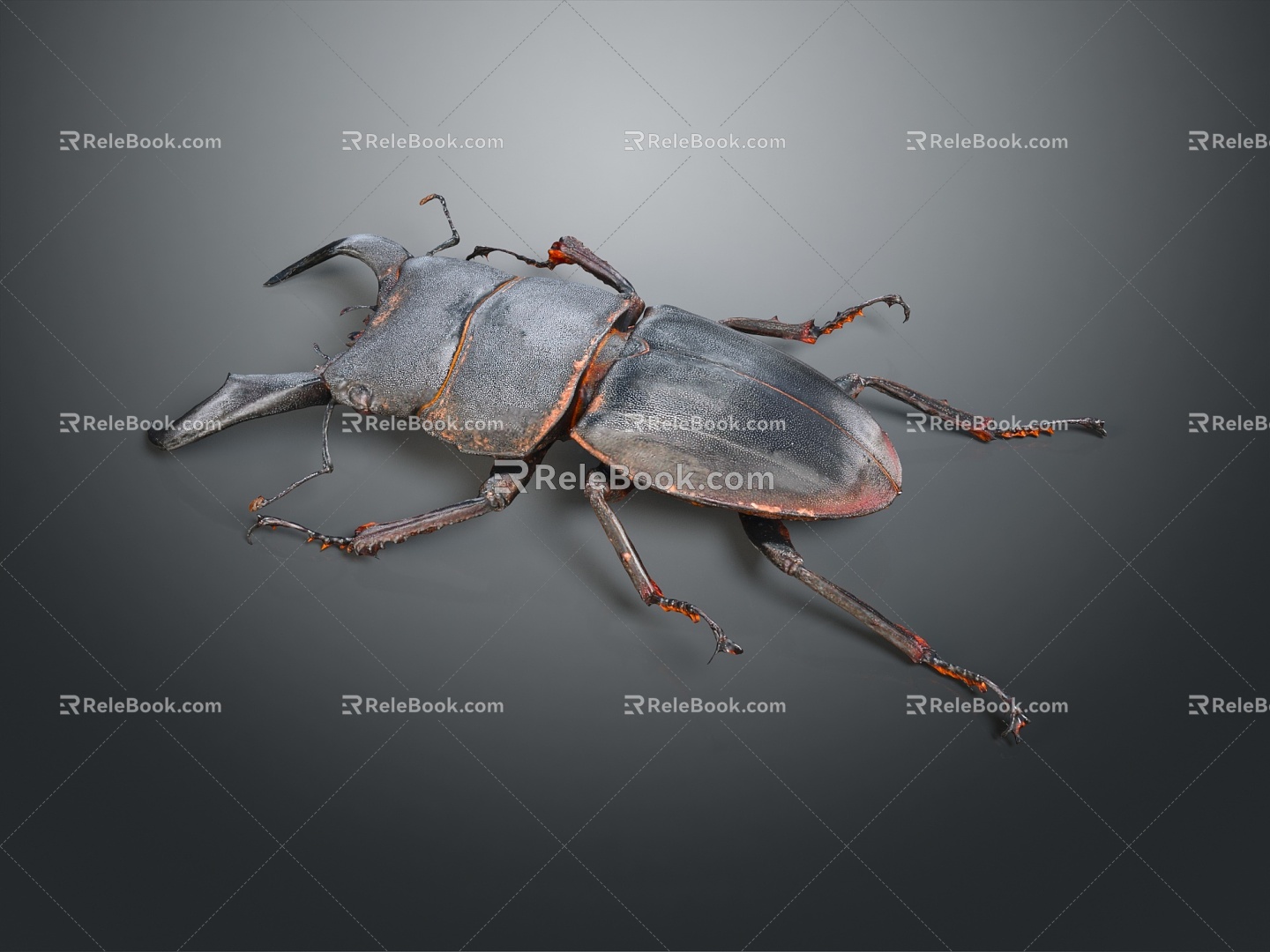 Modern Beetle Deer Island Peony Beetle Beetle 3d model