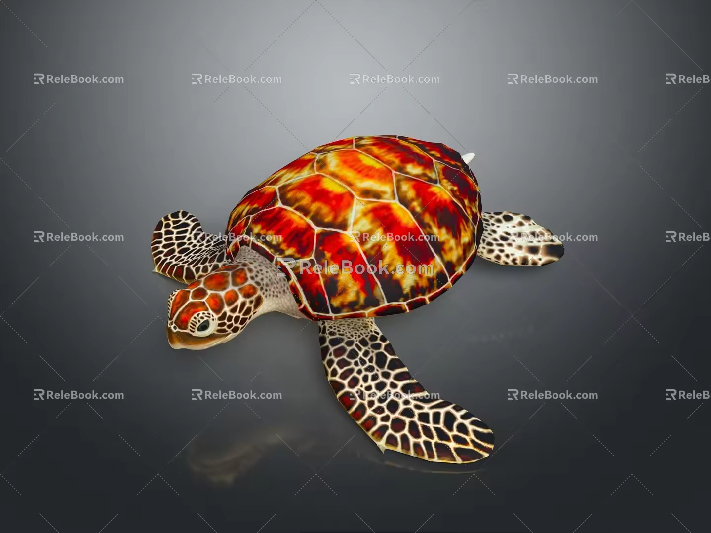 Modern Turtle Cartoon Turtle 3d model