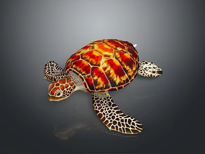 Colorful Sea Turtle Featuring Red Orange Shell And Intricate Flipper Patterns Isolated On Gray Background 3d model