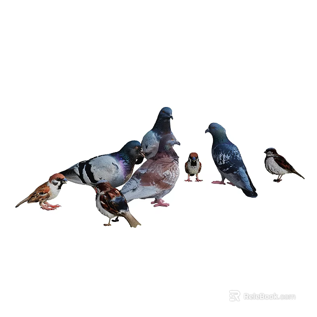 Group of Flying Animals Including Pigeons and Sparrows with Various Colors and Sizes 3d model 