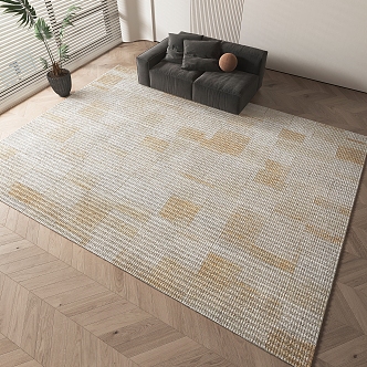 Modern Square Carpet 3d model