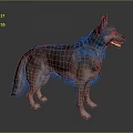Wolf Cartoon Wolf Animation Wolf Animation Wolf Big Bad Wolf Warrior Cartoon Character Cartoon Animal 3d model