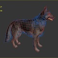 Wolf Cartoon Wolf Animation Wolf Animation Wolf Wolf Big Bad Wolf Wolf Warrior Cartoon Character Cartoon Animal 3d model