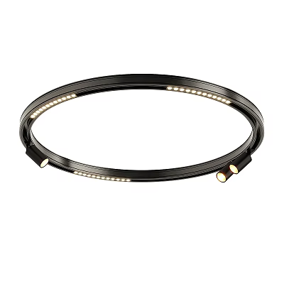 Black Frame Ring Light with LED Bulbs for Studio Photography and Videography 3d model