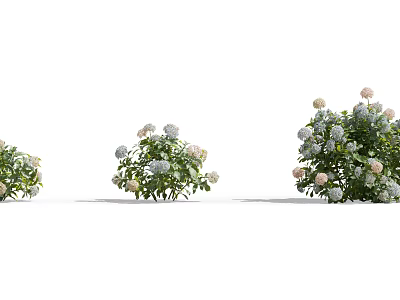 Flowering Bush With White And Pink Flowers Green Leaves And Lush Foliage 3d model