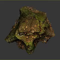 Detailed Natural Terrain With Moss Covered Stump Fallen Leaves And Organic Texture