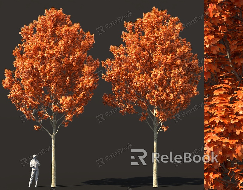 Street Trees Red Maple Trees Sycamore Trees Garden Landscape Trees Tree Pond Flower Balls model