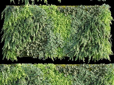 Plant wall plant wall green plant wall flowers and plants landscape grass decorative wall 3d model