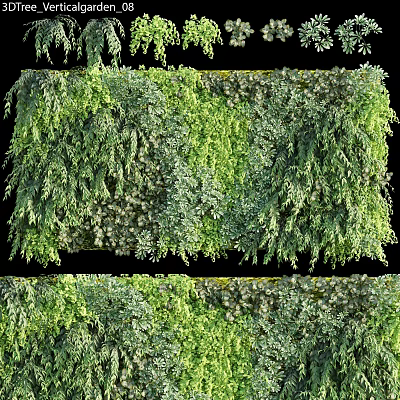 Vertical Greenery Wall Covered With Lush Plants On Black Background 3d model