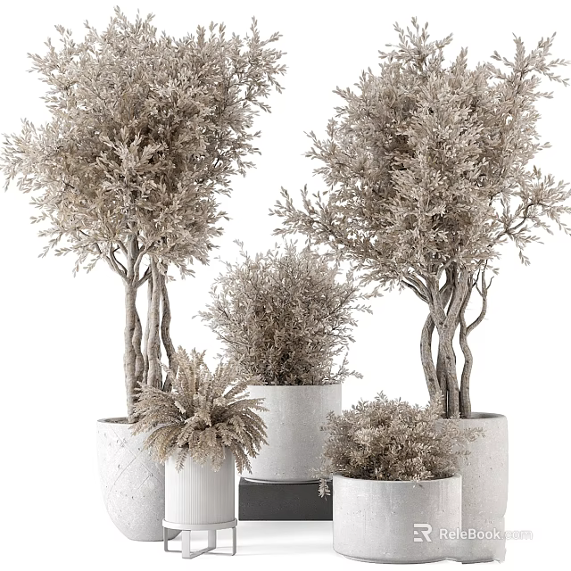 Decorative Garden Plants In White Planters With Potted Trees Natural Branches And Foliage 3d model 
