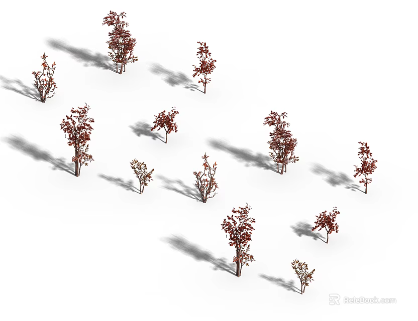 Red Leaf Arbor Trees With Shadows Arranged On White Background 3d model 