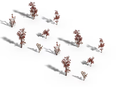 Red Leaf Arbor Trees With Shadows Arranged On White Background 3d model