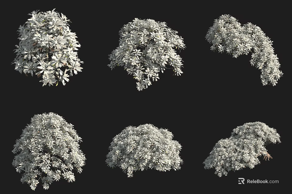 Multiple White Shrubs With Various Shapes And Foliage On Black Background 3d model