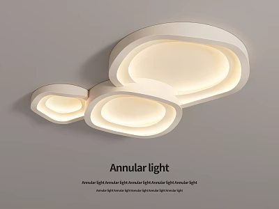 Modern Annular Ceiling Light With Multiple Rings For Indoor Soft Lighting 3d model